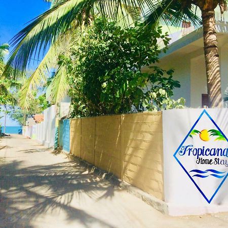 Tropicana Home Stay Arugam Bay Eksteriør billede