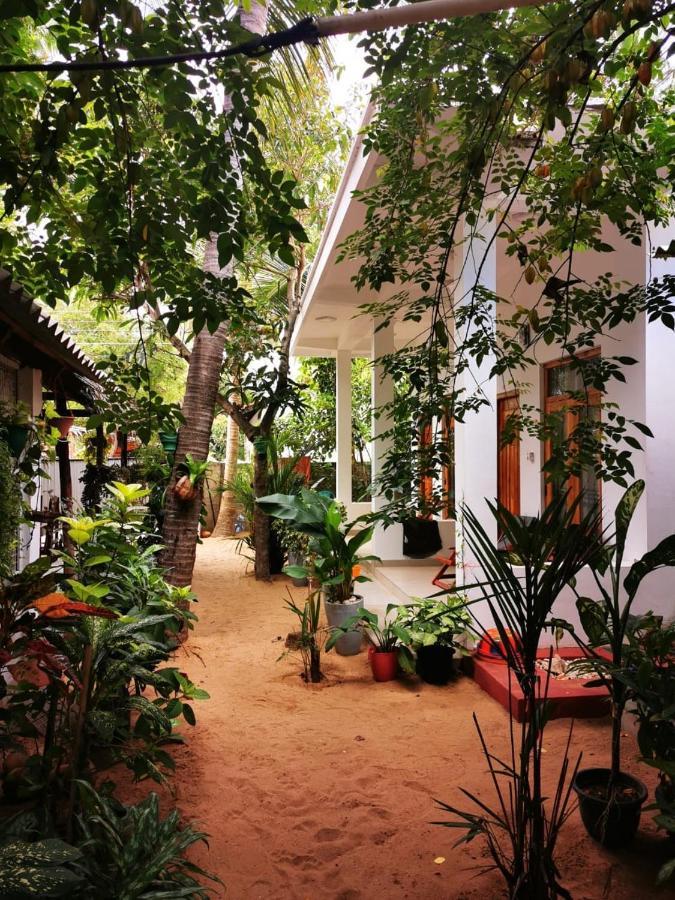 Tropicana Home Stay Arugam Bay Eksteriør billede