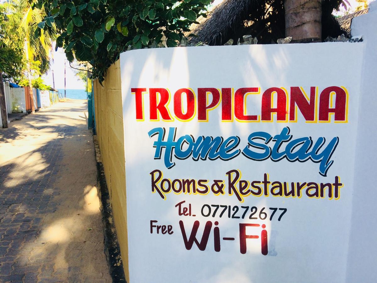 Tropicana Home Stay Arugam Bay Eksteriør billede