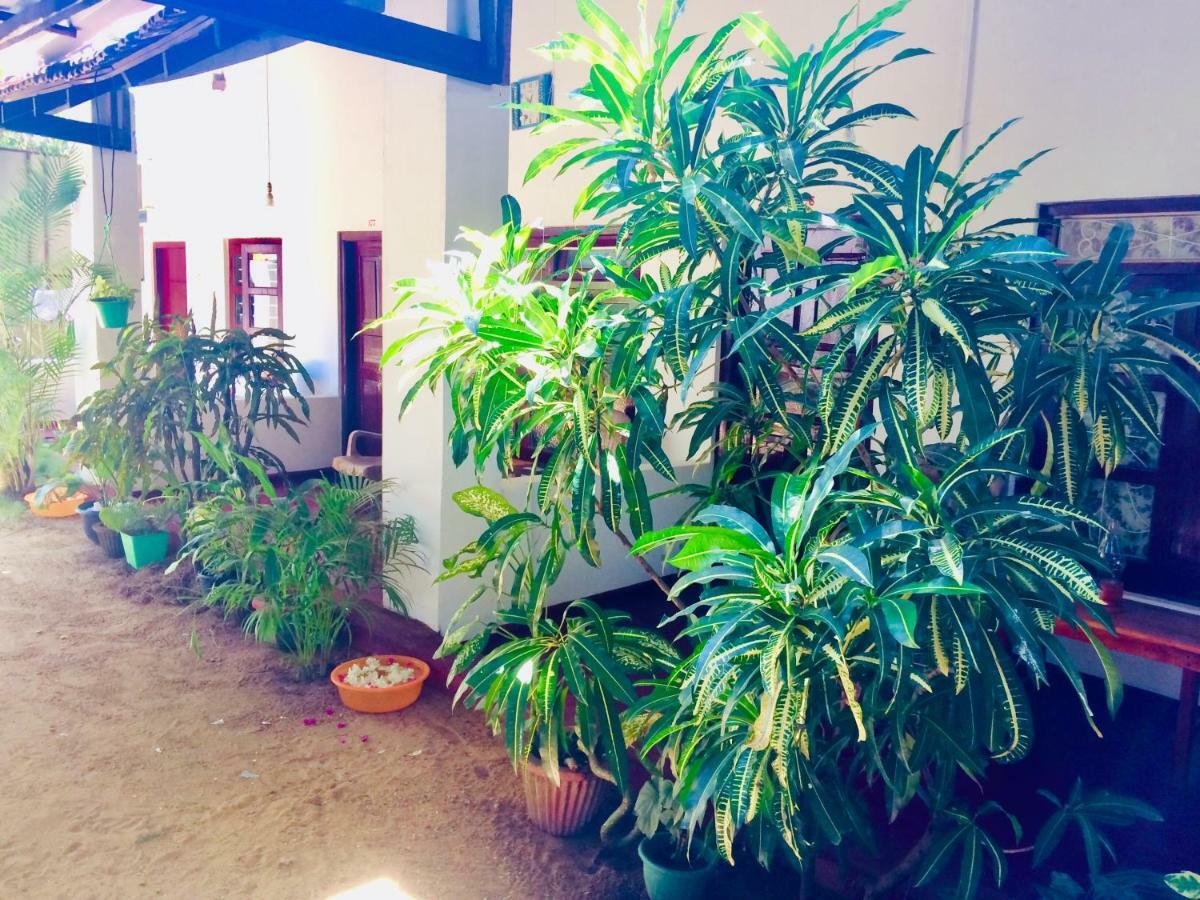 Tropicana Home Stay Arugam Bay Eksteriør billede