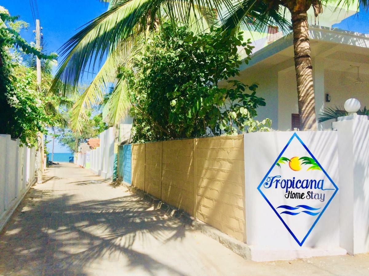 Tropicana Home Stay Arugam Bay Eksteriør billede